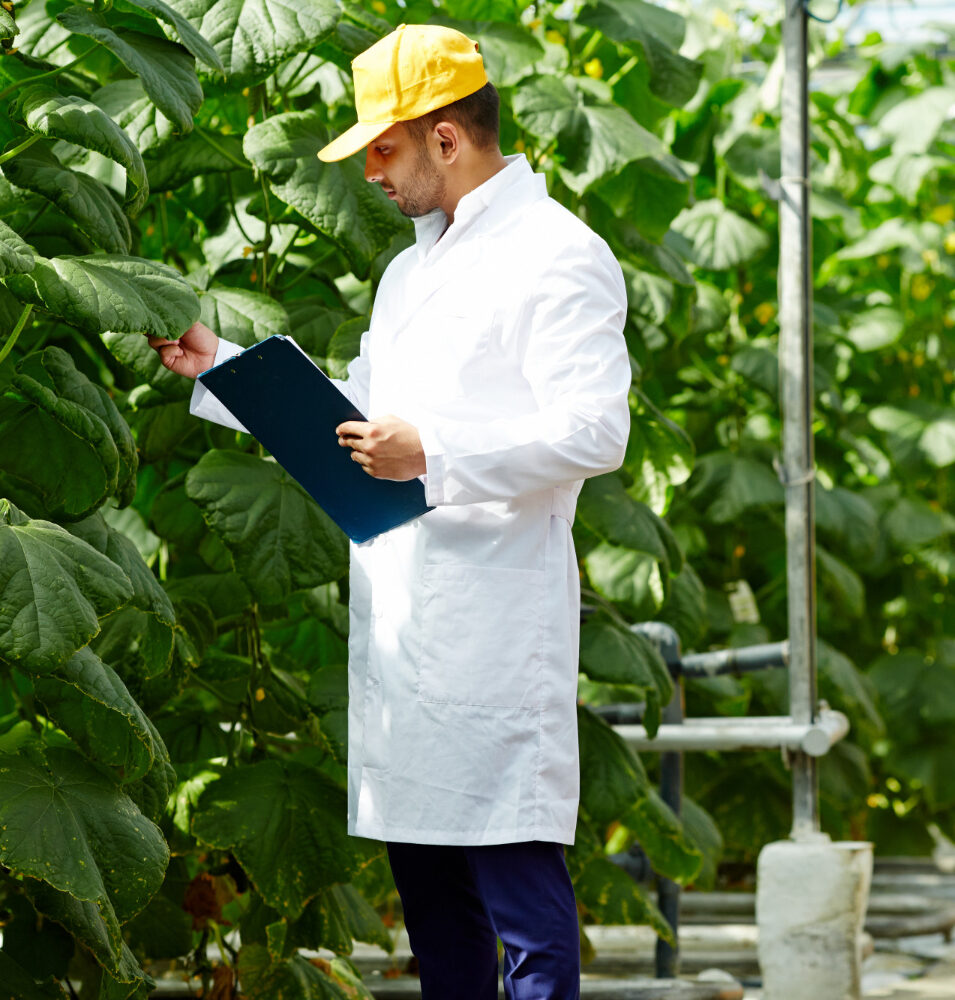 sicurezza alimentare food